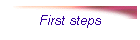 First steps