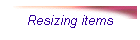 Resizing items